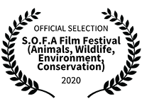 OFFICIAL SELECTION - S.O.F.A Film Festival Animals Wildlife Environment Conservation - 2020