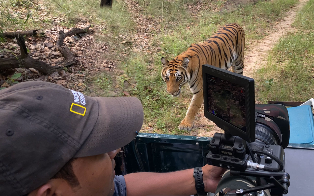 Prakash_Filming_Tigers